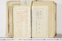 明い017020590033.jpg