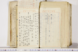 明い017020590034.jpg