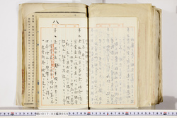 明い017020590036.jpg