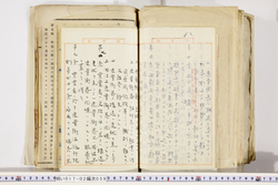 明い017020590037.jpg