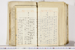 明い017020590038.jpg