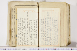 明い017020590039.jpg