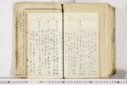 明い017020590040.jpg
