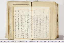 明い017020590041.jpg