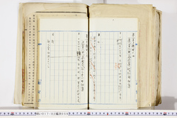 明い017020590044.jpg