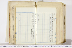 明い017020590045.jpg
