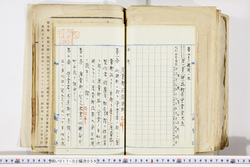 明い017020590046.jpg