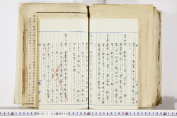 明い017020590047.jpg