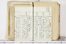 明い017020590048.jpg