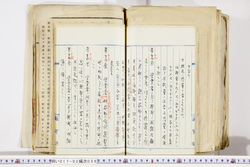 明い017020590049.jpg