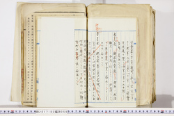 明い017020590050.jpg