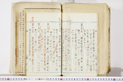 明い017020590051.jpg