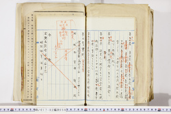 明い017020590052.jpg