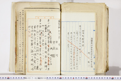 明い017020590053.jpg
