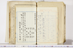 明い017020590055.jpg