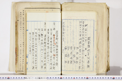 明い017020590056.jpg