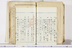 明い017020590057.jpg