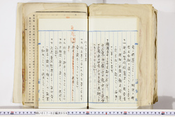 明い017020590058.jpg