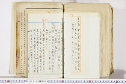 明い017020590059.jpg