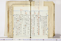 明い017020590060.jpg