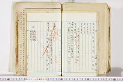 明い017020590062.jpg