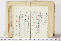 明い017020590063.jpg