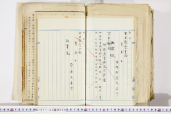 明い017020590064.jpg