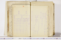 明い017020590067.jpg