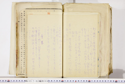 明い017020590070.jpg