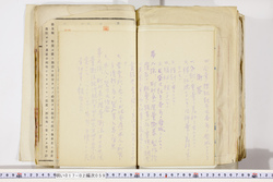 明い017020590071.jpg