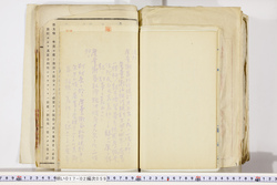明い017020590072.jpg