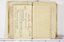明い017020590073.jpg