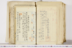 明い017020600004.jpg