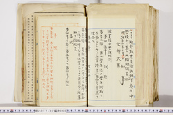 明い017020600005.jpg