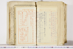 明い017020600006.jpg