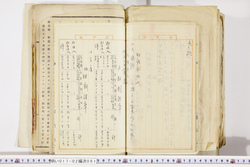 明い017020610003.jpg