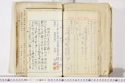 明い017020610004.jpg