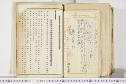 明い017020680002.jpg