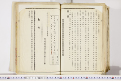 明い017020680003.jpg