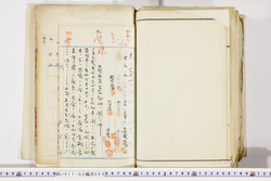 明い017020680004.jpg