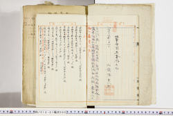 明い018010000009.jpg