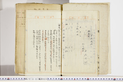 明い018010050006.jpg