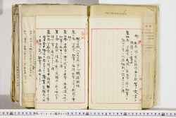 明い018010200005.jpg