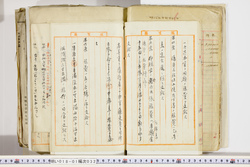 明い018010320004.jpg