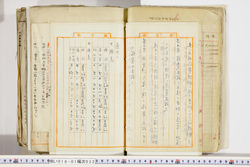 明い018010320007.jpg