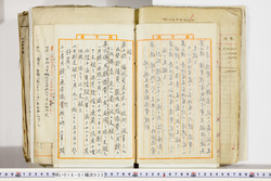 明い018010320009.jpg
