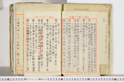 明い018010420004.jpg
