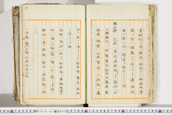 明い018010550004.jpg