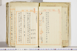 明い018010570002.jpg