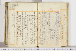明い018010600003.jpg